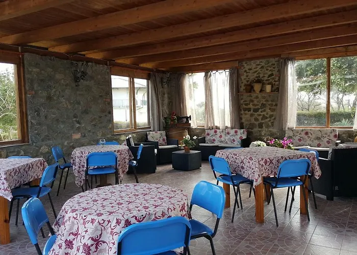 Heaven * ريكادي